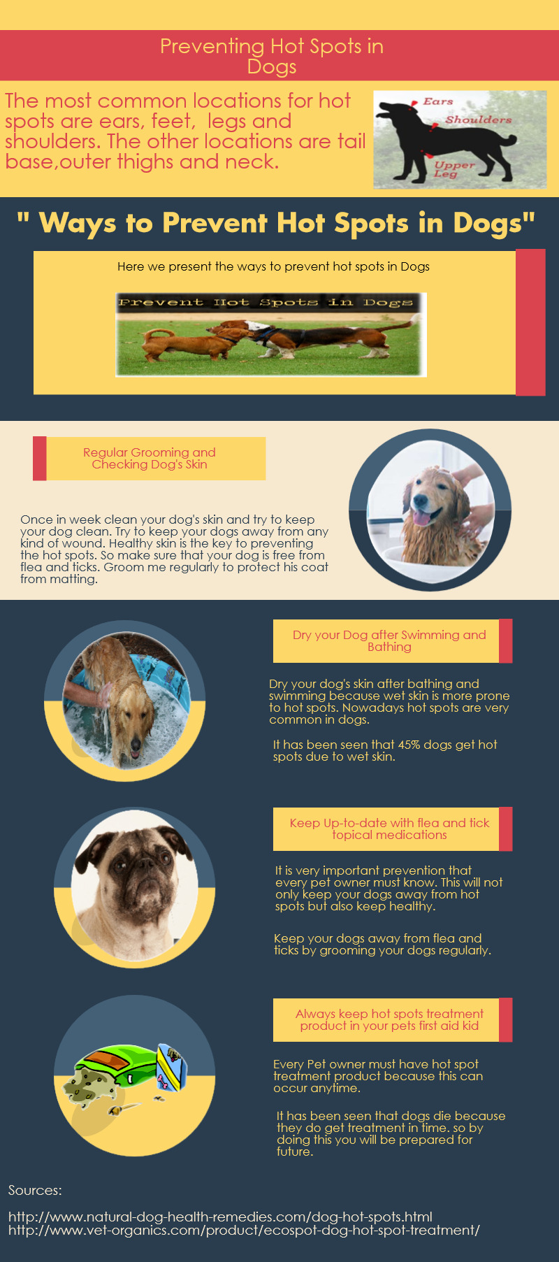 Preventing Hot Spots in Dogs Piktochart Visual Editor