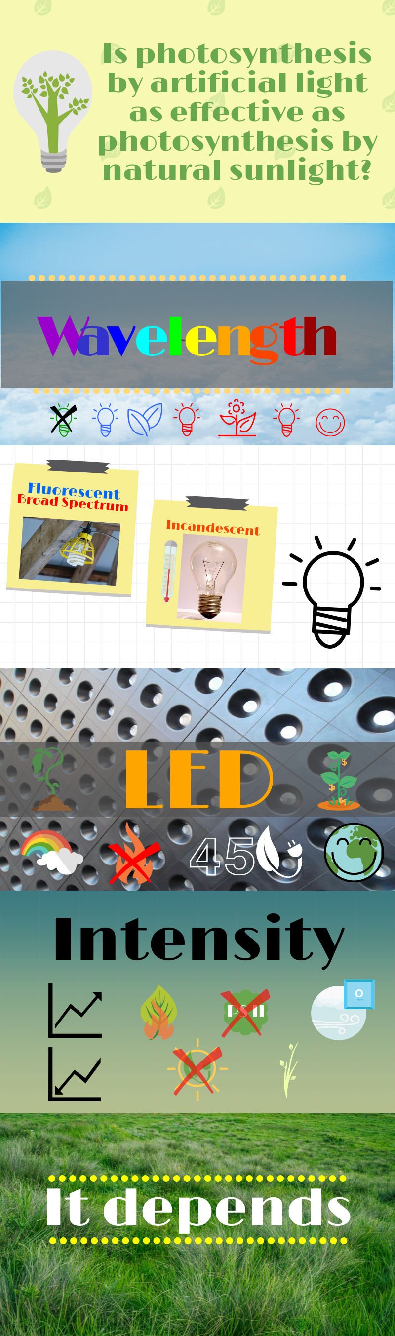 Photosynthesis by Artificial Light christineheartsbio