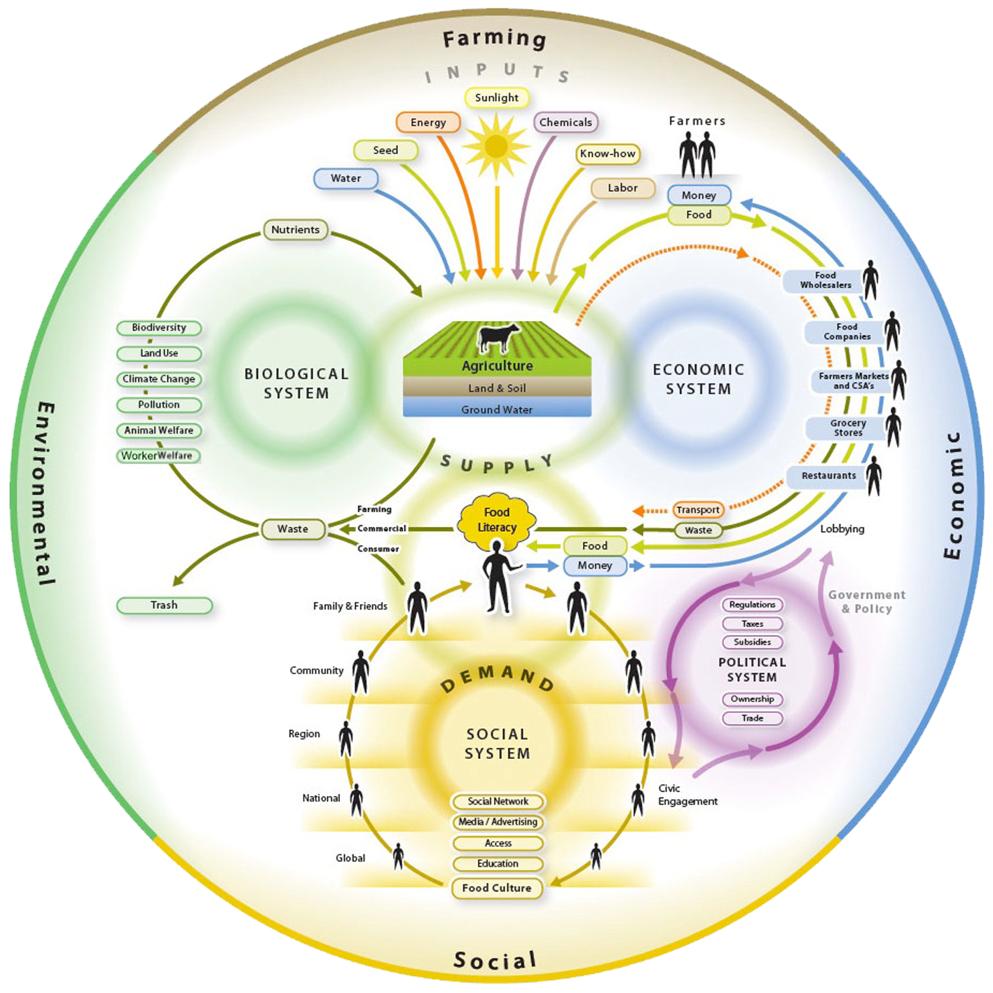 Public Health Nutrition | Piktochart Visual Editor 