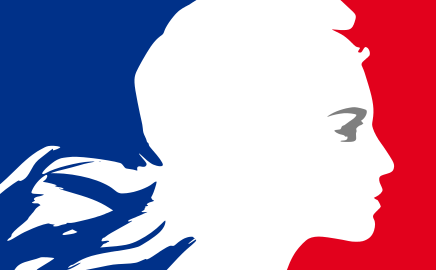 France VS démocratie | Piktochart Visual Editor